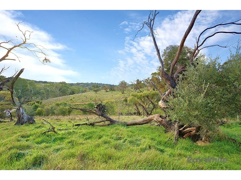 Lot 7 Skillogalee Creek Road, Watervale SA 5452
