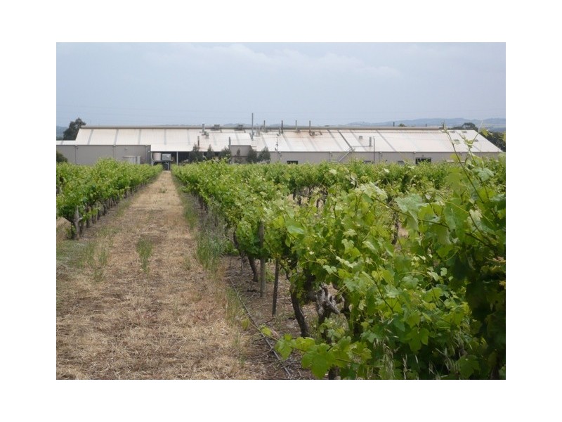 Lot 12 Crennis Mines Road, Angaston SA 5353