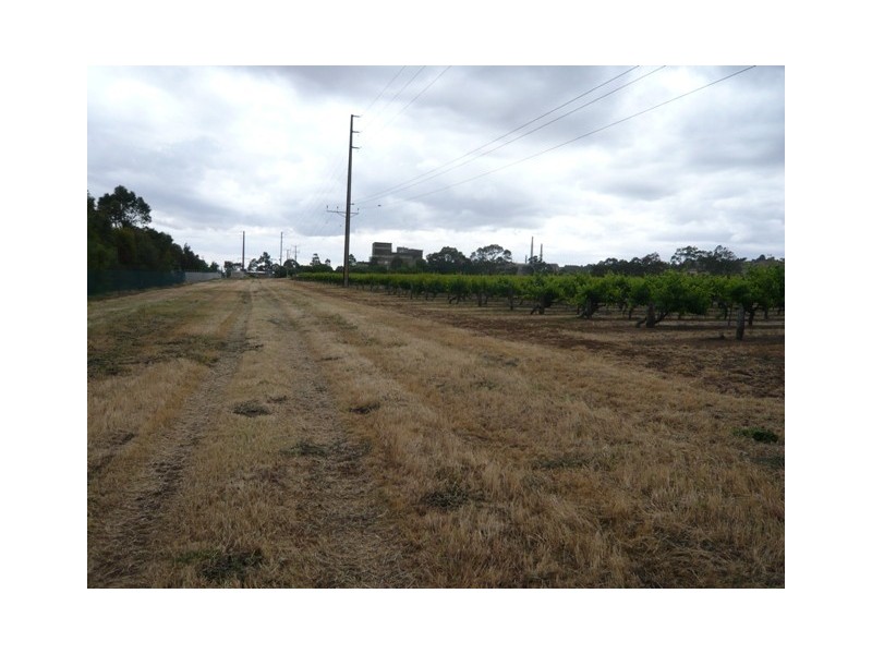 Lot 12 Crennis Mines Road, Angaston SA 5353
