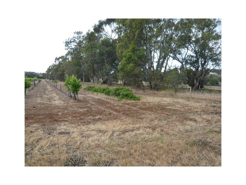 Lot 12 Crennis Mines Road, Angaston SA 5353