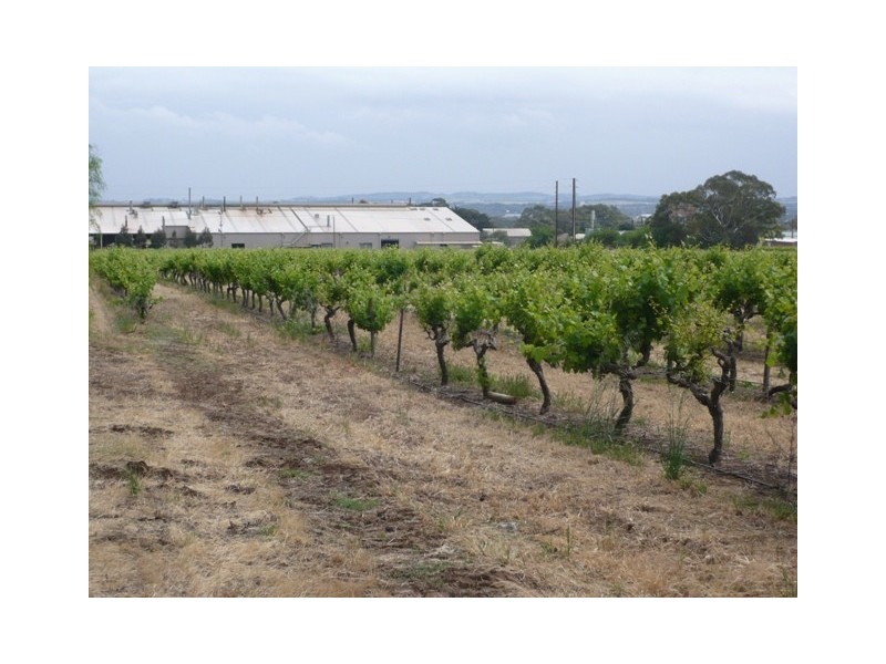Lot 12 Crennis Mines Road, Angaston SA 5353