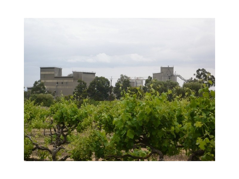 Lot 12 Crennis Mines Road, Angaston SA 5353