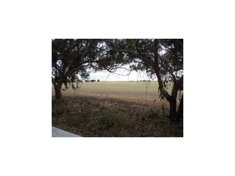 19 Hosking Road, Tiddy Widdy Beach SA 5571