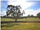 Lot 21 Scobie Road, Clare SA 5453