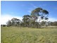 Lot 21 Scobie Road, Clare SA 5453