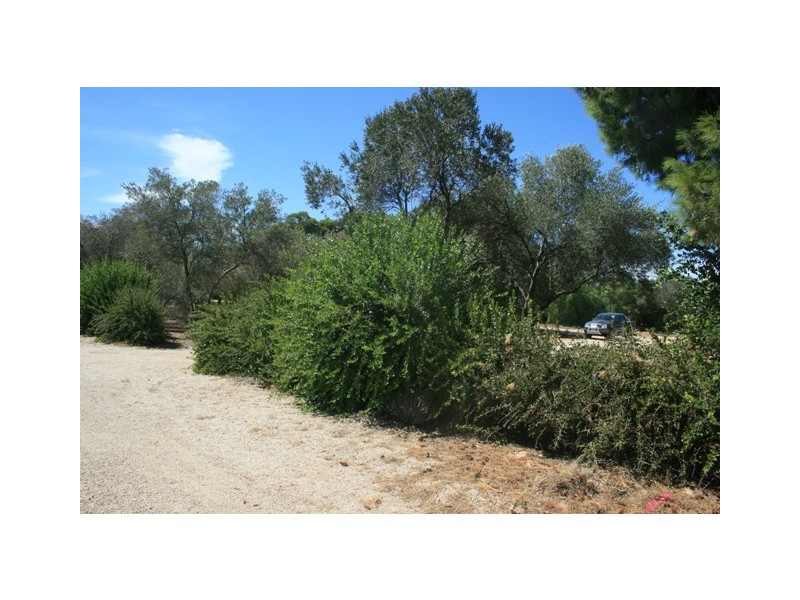 Pt Sec 4 Lot 37 Whitwarta Road, Balaklava SA 5461