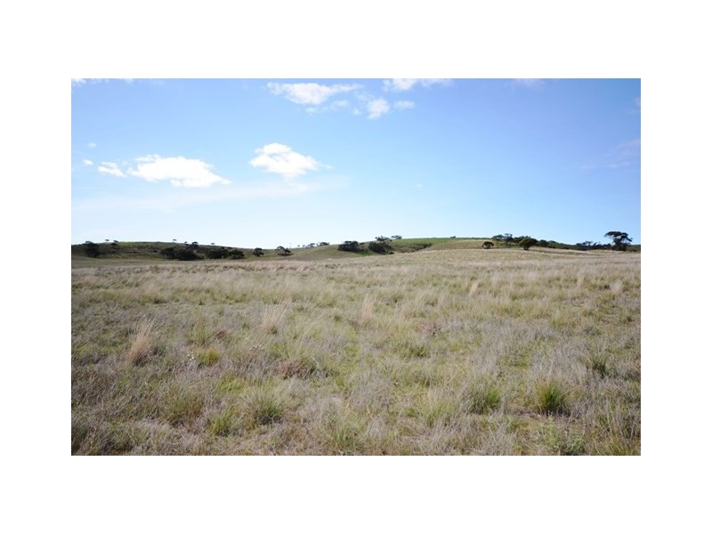 . “Heinrich’s”, Robertstown SA 5381