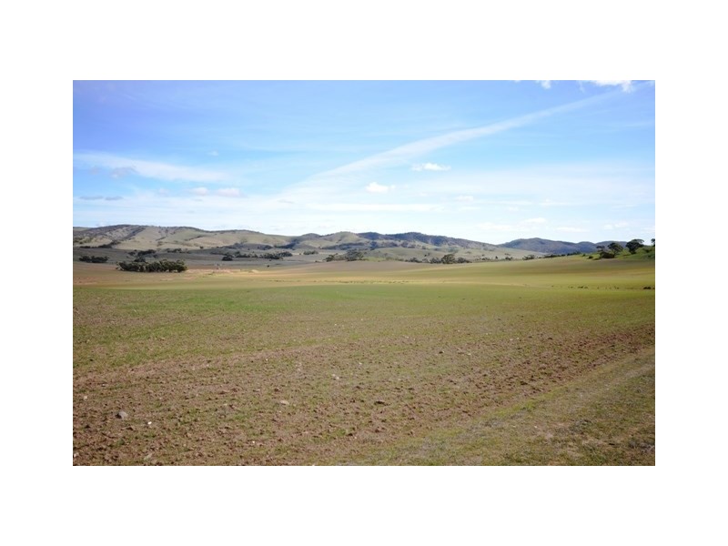 . “Heinrich’s”, Robertstown SA 5381