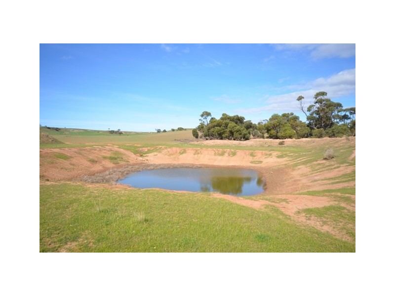 . “Heinrich’s”, Robertstown SA 5381