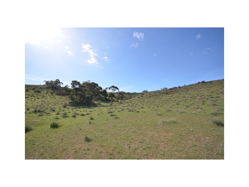 . “Heinrich’s”, Robertstown SA 5381