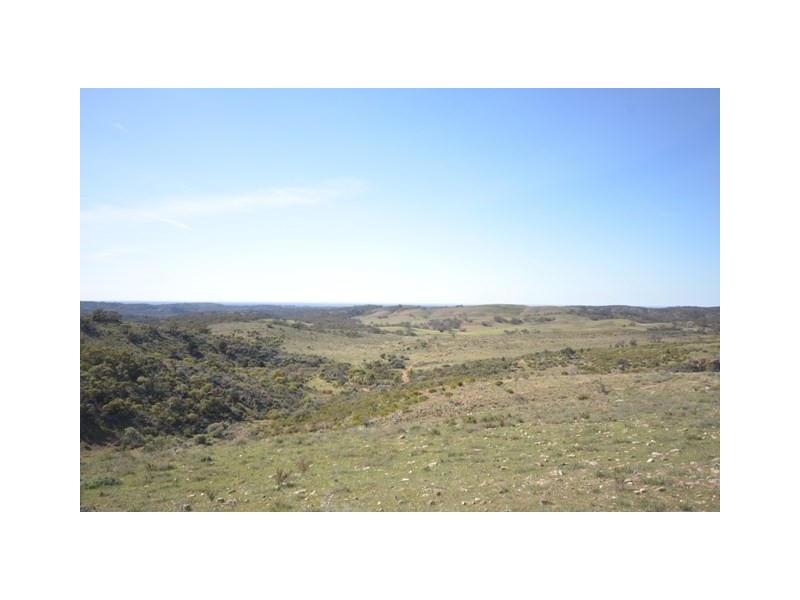 . “Heinrich’s”, Robertstown SA 5381