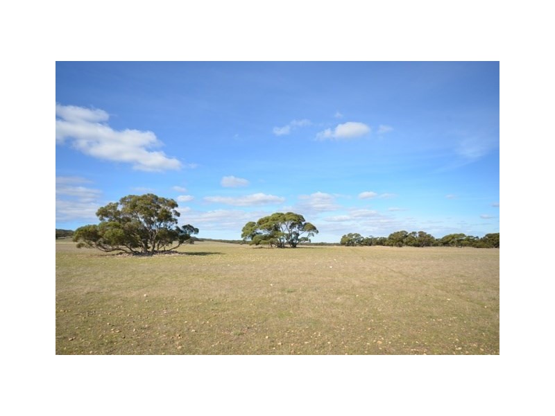 . “Heinrich’s”, Robertstown SA 5381