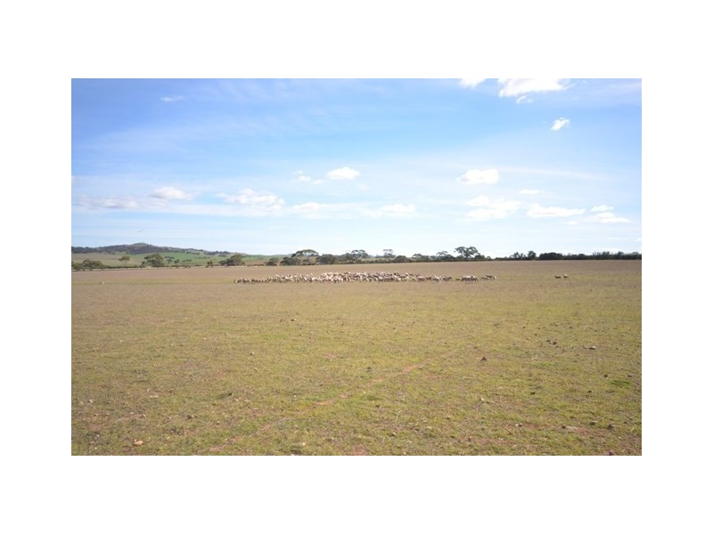 . “Heinrich’s”, Robertstown SA 5381