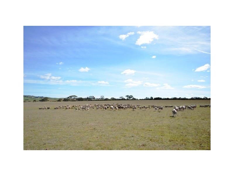 . “Heinrich’s”, Robertstown SA 5381