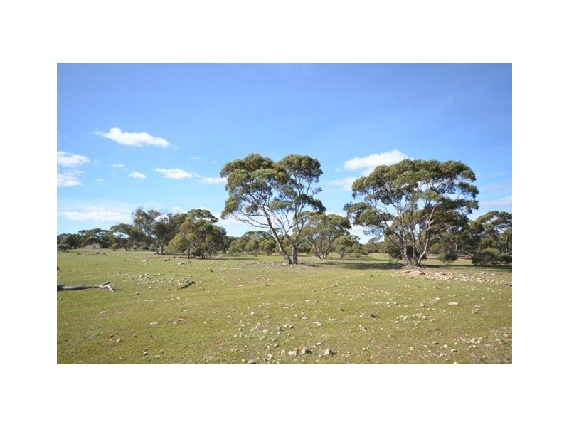 . “Heinrich’s”, Robertstown SA 5381