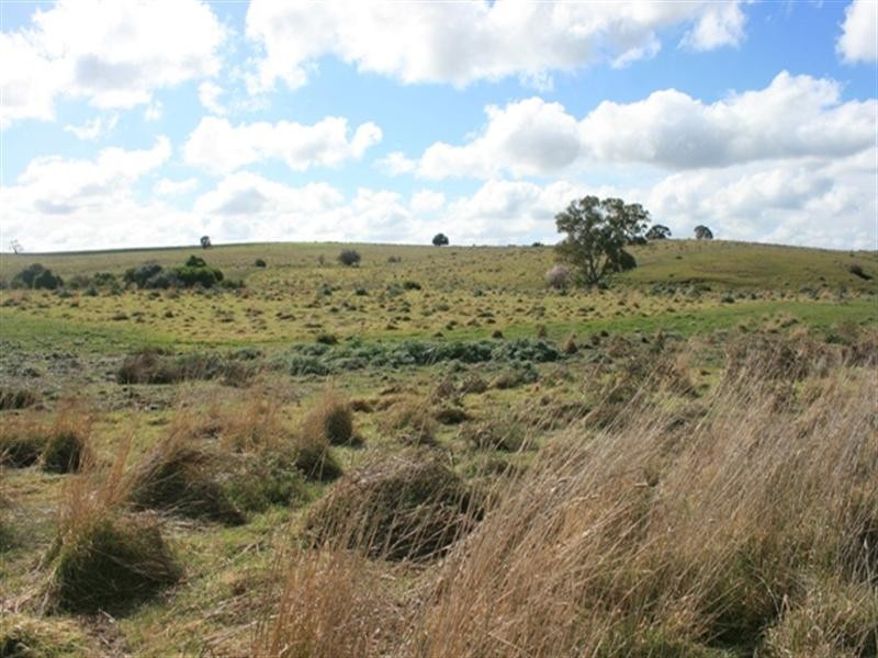 Lot 6 Wakefield Street, Mintaro SA 5415