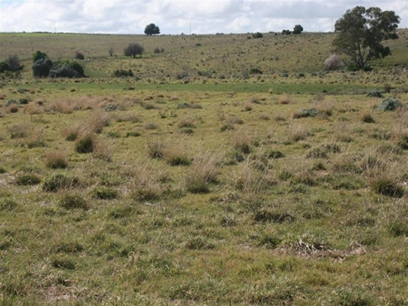 Lot 6 Wakefield Street, Mintaro SA 5415