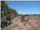Lot 78 Government Road, Blanchetown SA 5357