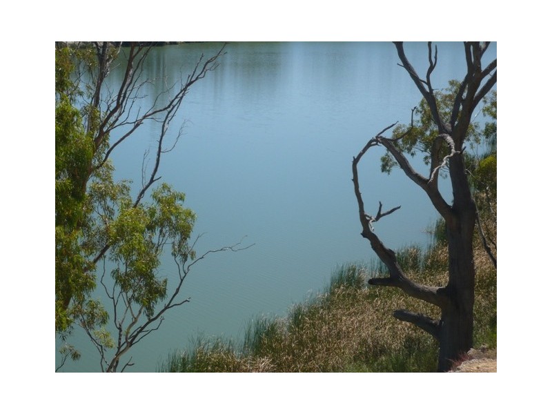 Lot 78 Government Road, Blanchetown SA 5357