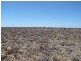Lot 78 Government Road, Blanchetown SA 5357