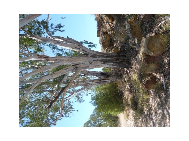 Lot 78 Government Road, Blanchetown SA 5357