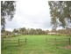 Lot 105 Church Street, Mintaro SA 5415