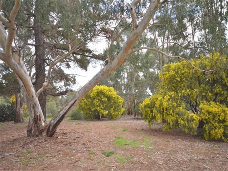 Lot 105 Church Street, Mintaro SA 5415