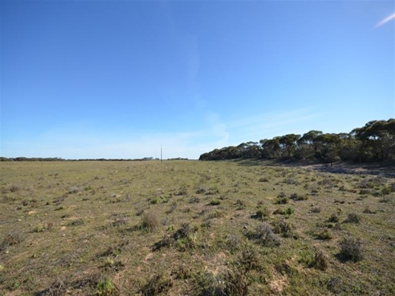 “Harry’s” Jeffries Road, Wanbi SA 5310