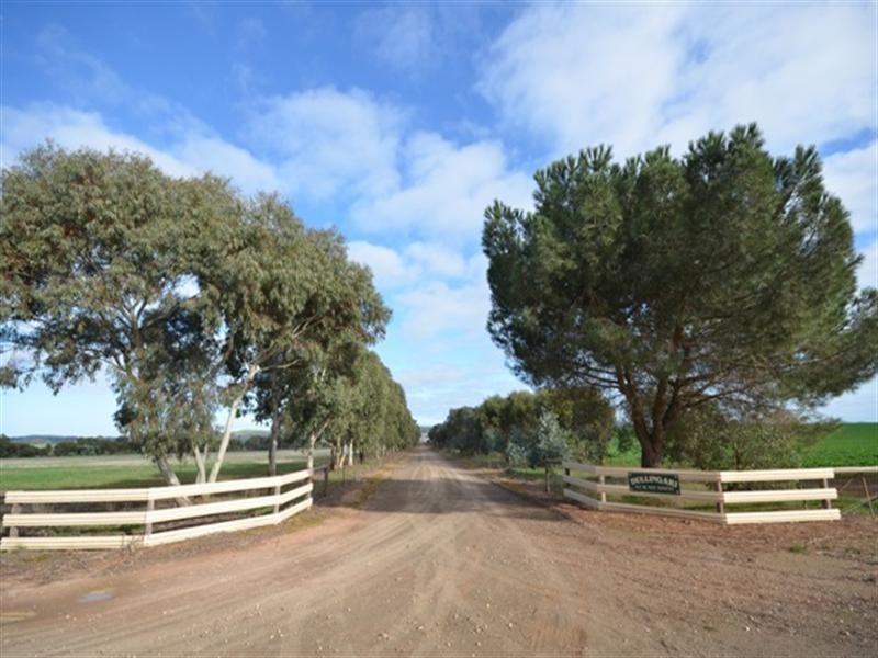 “Dullingari” Road 137, Farrell Flat SA 5416