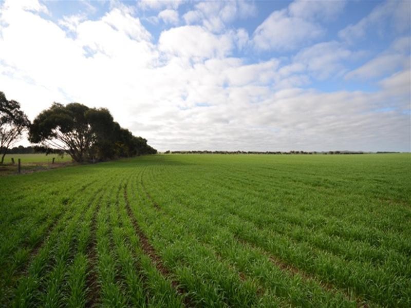 “Dullingari” Road 137, Farrell Flat SA 5416