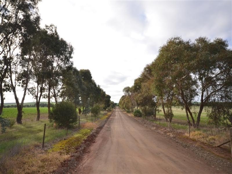 “Dullingari” Road 137, Farrell Flat SA 5416