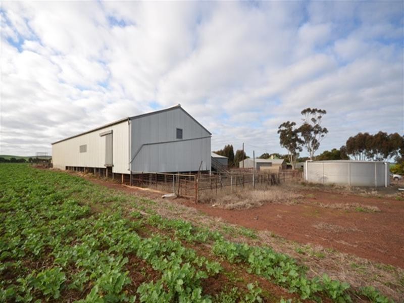 “Dullingari” Road 137, Farrell Flat SA 5416