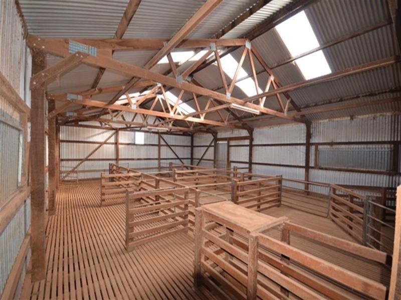 “Dullingari” Road 137, Farrell Flat SA 5416