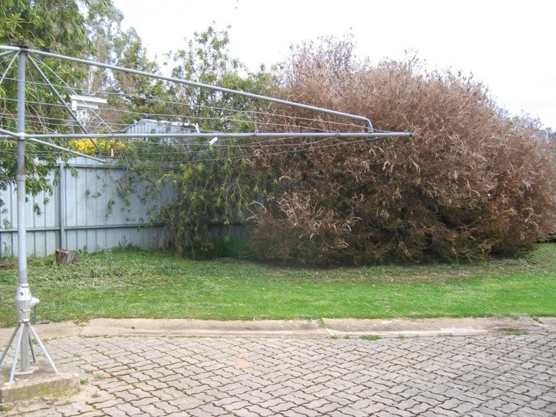 140 Main North, Clare SA 5453