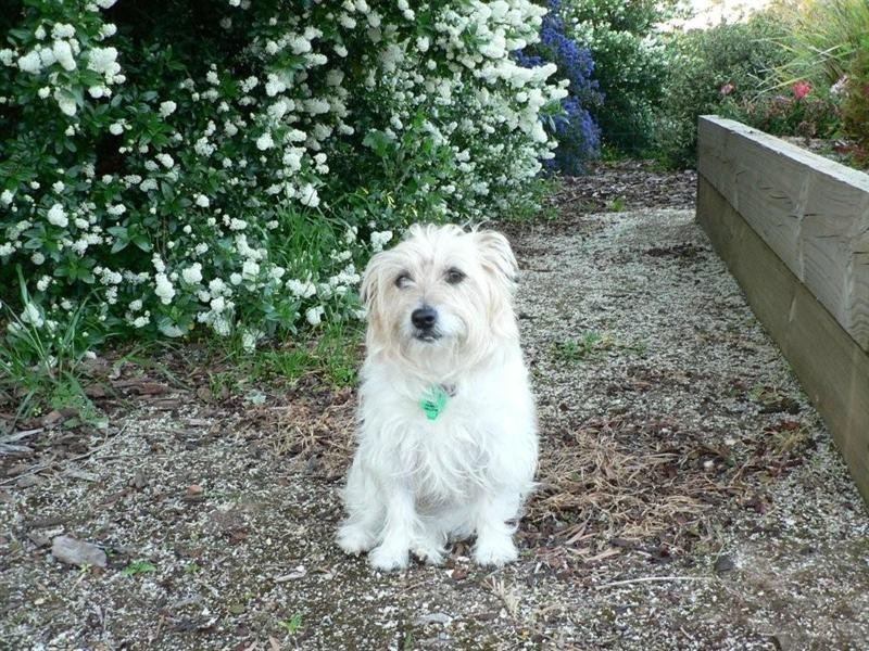 Lot 112 West Road, Watervale SA 5452