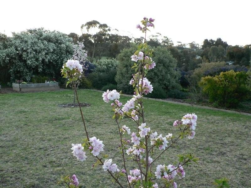 Lot 112 West Road, Watervale SA 5452