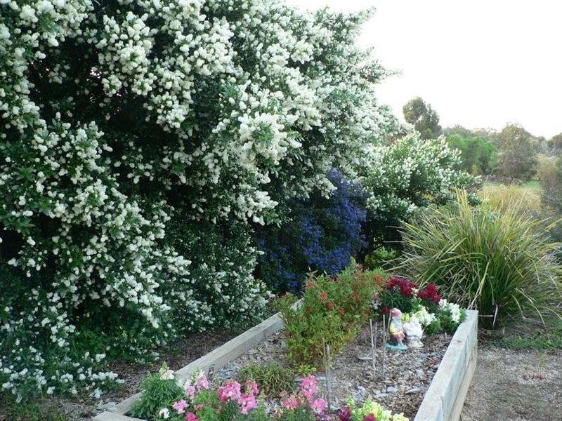 Lot 112 West Road, Watervale SA 5452