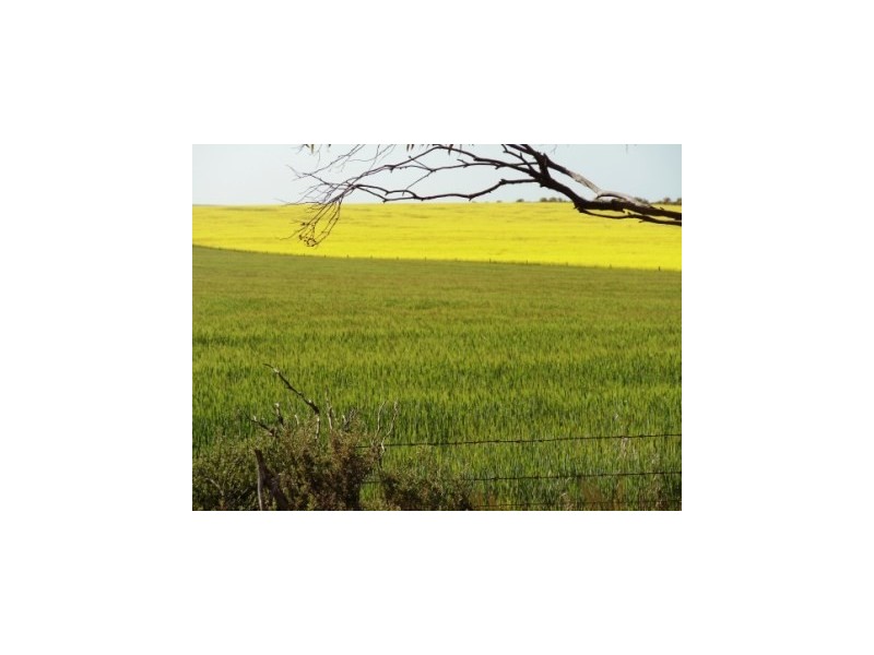 710 Standpipe Road, Cunningham SA 5571