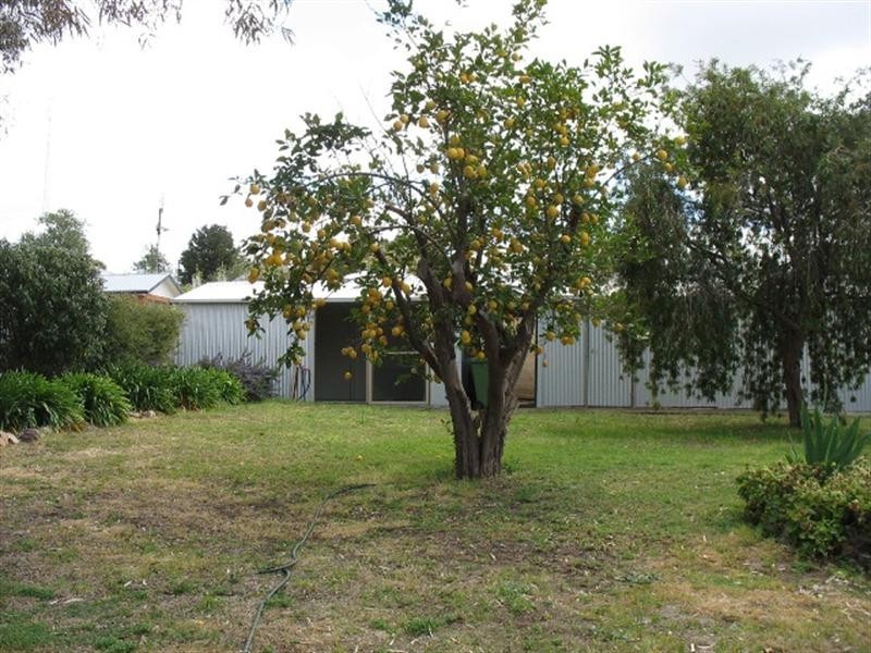 48 King Street, Clare SA 5453