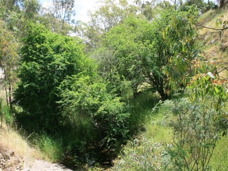 Lot 4 Campbell Road, Penwortham SA 5453