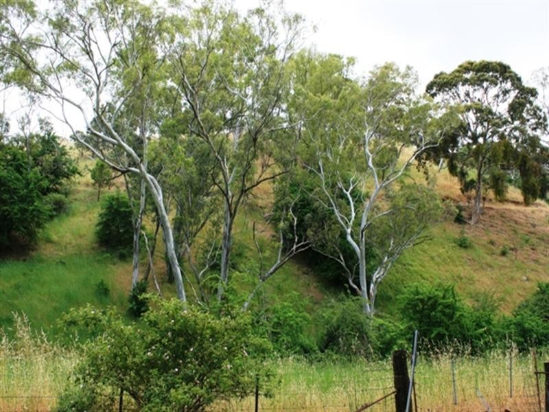 Lot 4 Campbell Road, Penwortham SA 5453