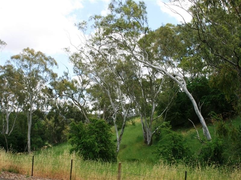 Lot 4 Campbell Road, Penwortham SA 5453
