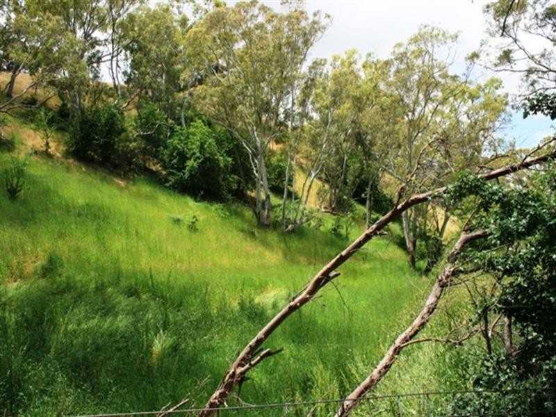 Lot 4 Campbell Road, Penwortham SA 5453