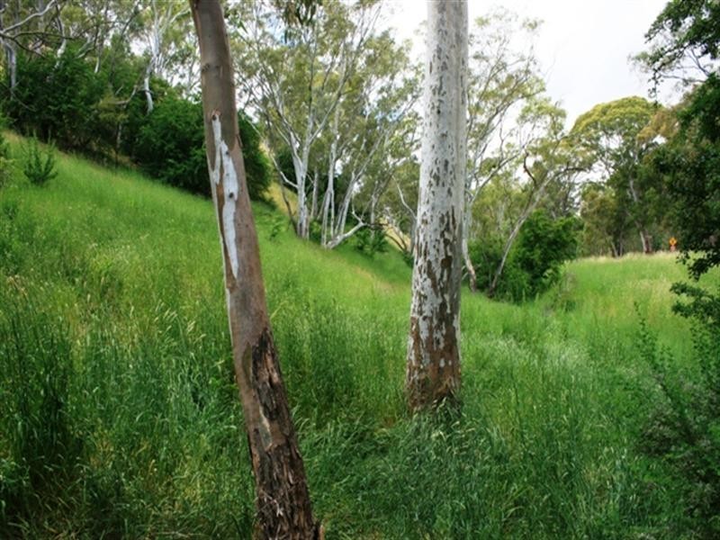 Lot 4 Campbell Road, Penwortham SA 5453