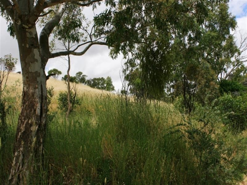Lot 4 Campbell Road, Penwortham SA 5453