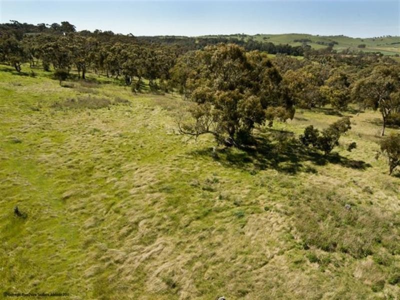 Lots 1 and 2 Govt, Penwortham SA 5453