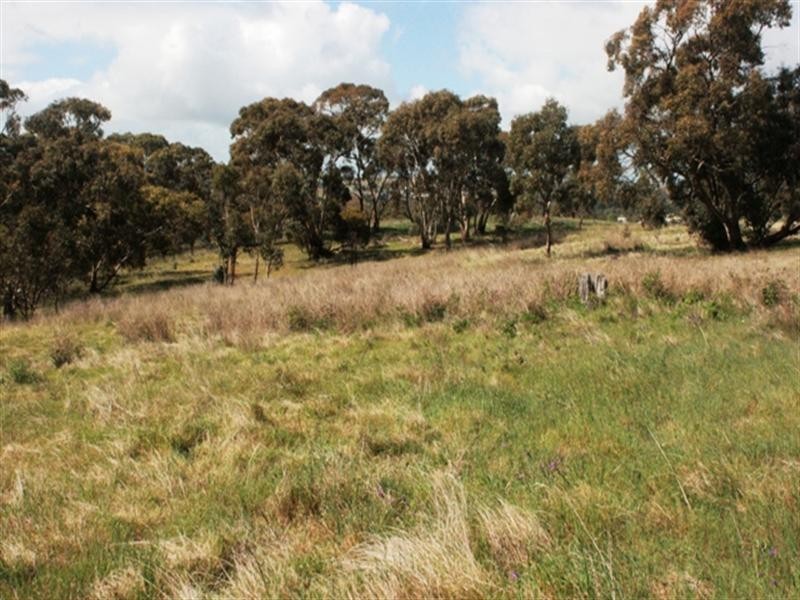 Lots 1 and 2 Govt, Penwortham SA 5453