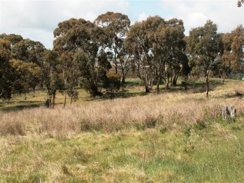 Lots 1 and 2 Govt, Penwortham SA 5453