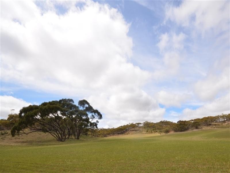 Various Secs Koo-owie Gap Road, Emu Downs SA 5381