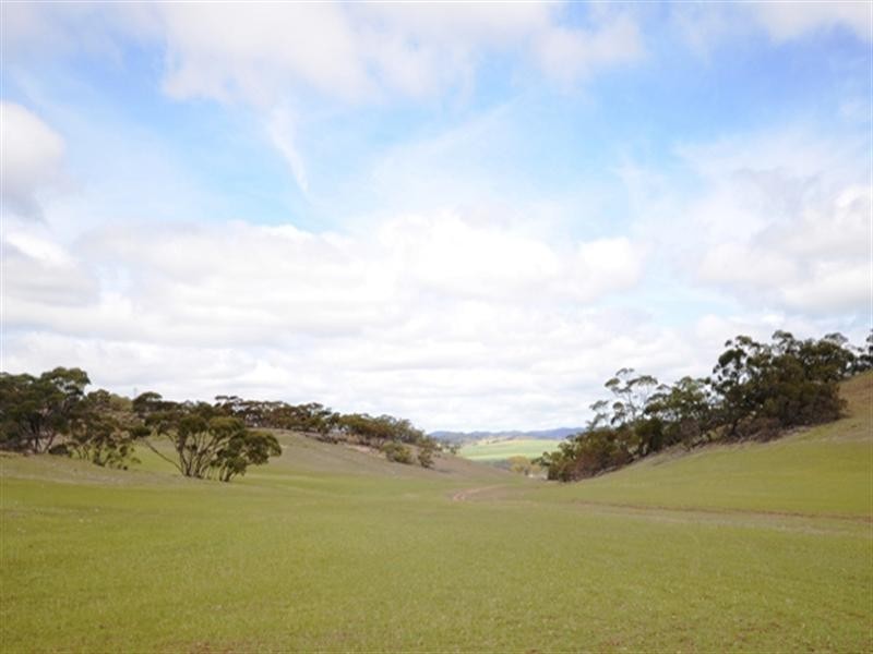 Various Secs Koo-owie Gap Road, Emu Downs SA 5381